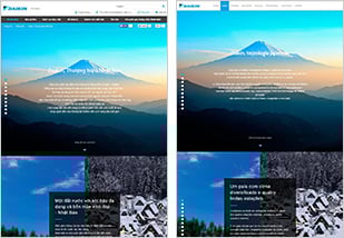 半年で引き合いが大幅に増加したベトナムサイトと自主的にブランドコンテンツを立ち上げたブラジルサイト