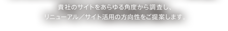 貴社のサイトをあらゆる角度から調査し、リニューアル／サイト活用の方向性をご提案します。